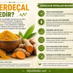 Zerdeçal Nedir? Zerdeçalın Faydaları Nelerdir?