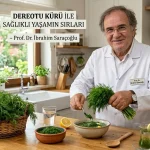 Dereotu Kürü ile Sağlıklı Yaşamın Sırları ibrahim Saraçoğlu